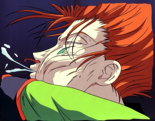 Animental - Hunter X Hunter - Hisoka
