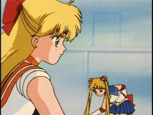 My Expensive Hobby - Sailor Moon