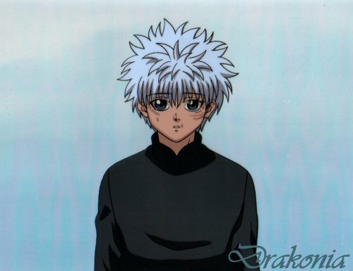 Series: Hunter x Hunter
