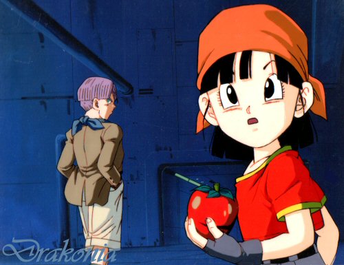 Dragon+ball+z+characters+trunks