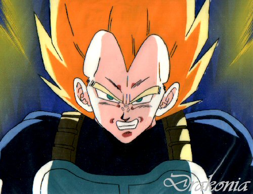 Dragon+ball+z+characters+vegeta
