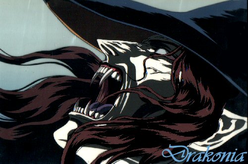 Vampire Hunter D Bloodlust anime cels